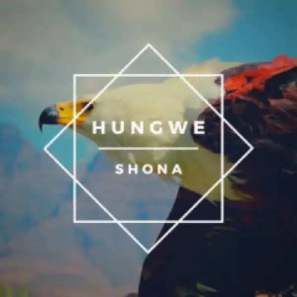 Shona (SA) - Ndiyekele Ft. Zimkitha